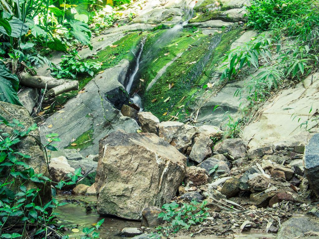 Aronka Homestay Kandy Dış mekan fotoğraf