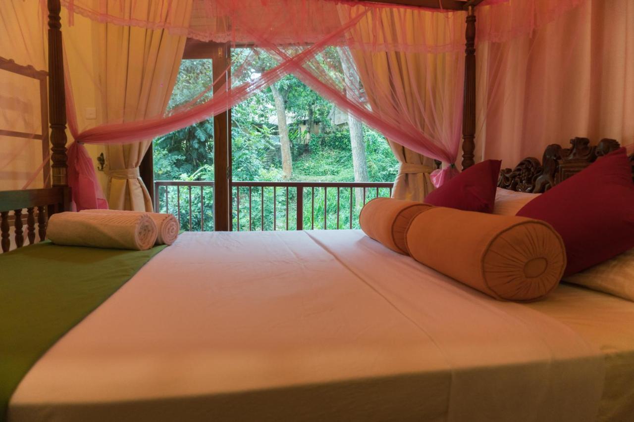 Aronka Homestay Kandy Dış mekan fotoğraf